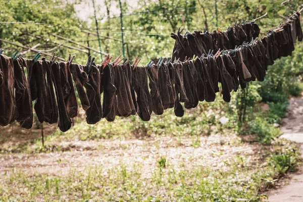 Washing socks. Washed socks hanging on a rope dried.