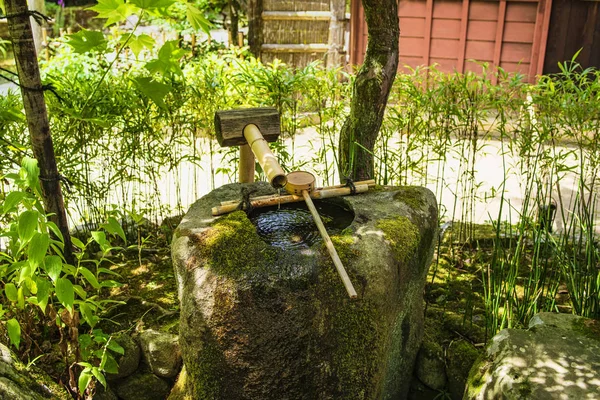 Cho-zu giapponese. Giardino verde giapponese.bellissimo parco verde giapponese in estate . — Foto Stock