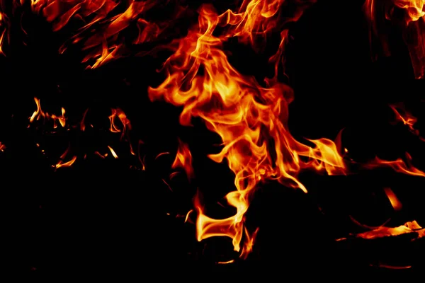 Fire on a dark background. Background from fire. Fire close up. Background for designers.Wood fire on black background