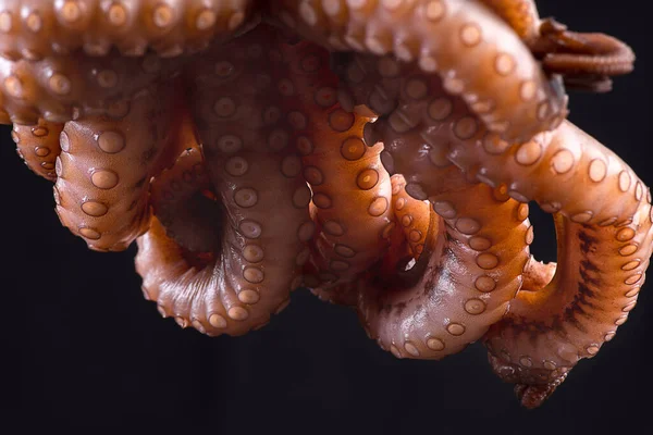 Polpo Crudo Fondo Pietra Nera Frutti Mare Freschi — Foto Stock