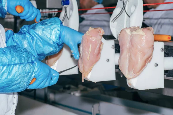 鶏肉加工食品業界の詳細 鶏肉肉の生産のための工場 食品業界の鶏肉加工 鶏肉肉の処理中にナイフで労働者の手 鶏肉の加工機 — ストック写真