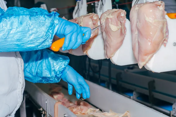 Food industry detail with poultry meat processing.Factory for the production of chicken meat.The poultry processing in food industry.Hands of workers with a knife during the processing of chicken meat.