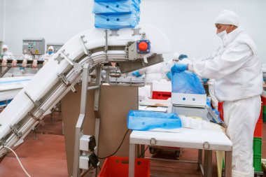 Bir et fabrikasında endüstriyel ekipman. Et işleme tesisi. Et işleme ekipmanları. Paketleme ve et kesme ile üretim hattı.