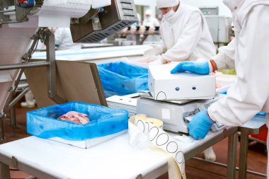 Bir et fabrikasında endüstriyel ekipman. Et işleme tesisi. Et işleme ekipmanları. Paketleme ve et kesme ile üretim hattı.