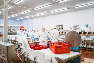 Bir et fabrikasında endüstriyel ekipman. Et işleme tesisi. Et işleme ekipmanları. Paketleme ve et kesme ile üretim hattı.