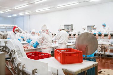 Bir et fabrikasında endüstriyel ekipman. Et işleme tesisi. Et işleme ekipmanları. Paketleme ve et kesme ile üretim hattı.