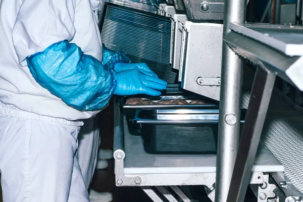 Tavuk eti üretiminde kullanılan gıda endüstrisi ayrıntıları. Teknolojik süreç. Gıda endüstrisinde kümes hayvanlarının işlemesi..