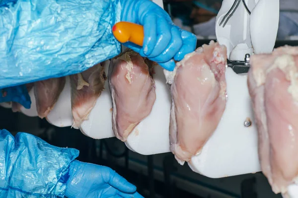 鶏肉肉加工食品業界の詳細 鶏肉肉の生産のための工場 技術的なプロセス 食品業界の鶏肉加工 — ストック写真