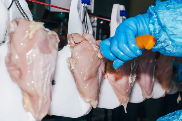鶏肉肉加工食品業界の詳細 鶏肉肉の生産のための工場 技術的なプロセス 食品業界の鶏肉加工 — ストック写真