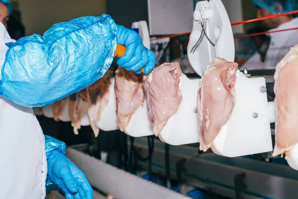 Food industry detail with poultry meat processing.Factory for the production of chicken meat.Technological process.The poultry processing in food industry.