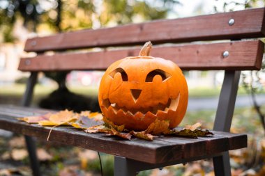 Cadılar bayramı için turuncu balkabağı. Cadılar Bayramı konsepti..