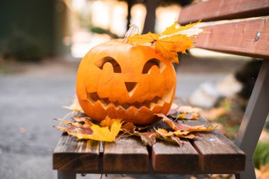 Cadılar bayramı için turuncu balkabağı. Cadılar Bayramı konsepti..