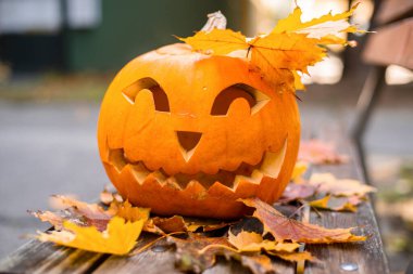 Cadılar bayramı için turuncu balkabağı. Cadılar Bayramı konsepti..