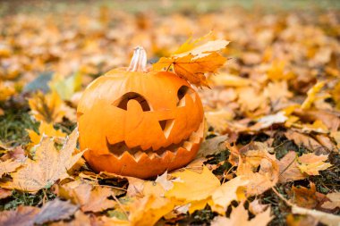 Turuncu sonbahar izinlerinde Cadılar Bayramı için turuncu balkabağı. Cadılar Bayramı konsepti..