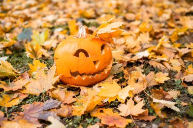 Turuncu sonbahar izinlerinde Cadılar Bayramı için turuncu balkabağı. Cadılar Bayramı konsepti..