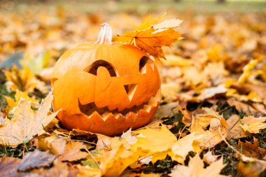 Turuncu sonbahar izinlerinde Cadılar Bayramı için turuncu balkabağı. Cadılar Bayramı konsepti..