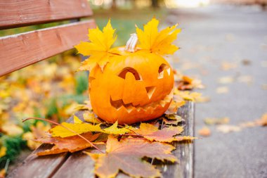 Cadılar bayramı için turuncu balkabağı. Cadılar Bayramı konsepti..