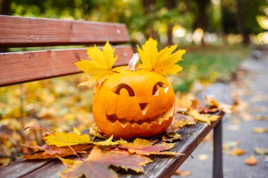 Cadılar bayramı için turuncu balkabağı. Cadılar Bayramı konsepti..