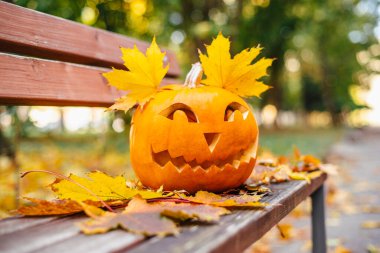 Cadılar bayramı için turuncu balkabağı. Cadılar Bayramı konsepti..