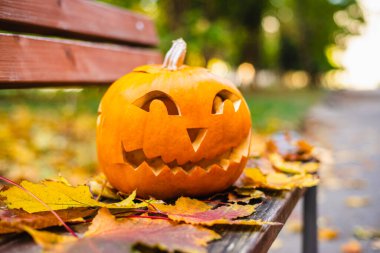 Cadılar bayramı için turuncu balkabağı. Cadılar Bayramı konsepti..