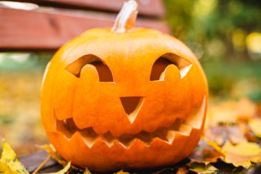 Cadılar bayramı için turuncu balkabağı. Cadılar Bayramı konsepti..