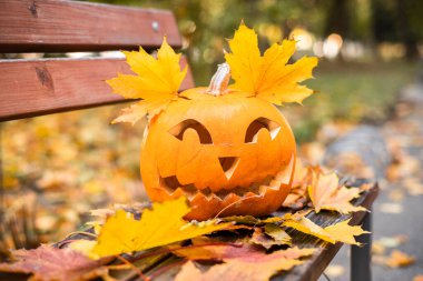 Cadılar bayramı için turuncu balkabağı. Cadılar Bayramı konsepti..