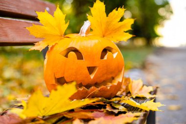 Cadılar bayramı için turuncu balkabağı. Cadılar Bayramı konsepti..