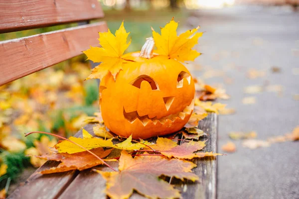 Cadılar bayramı için turuncu balkabağı. Cadılar Bayramı konsepti..