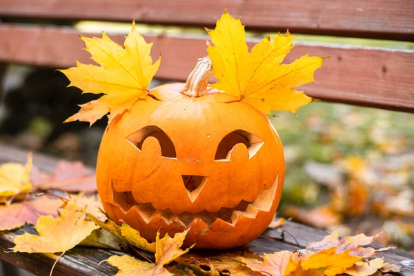 Cadılar bayramı için turuncu balkabağı. Cadılar Bayramı konsepti..