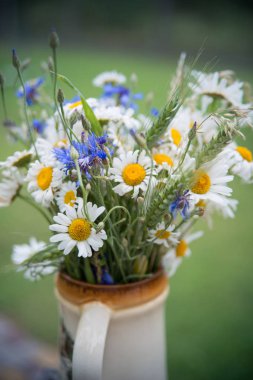 Yaz ortasında Letonya: kutlama Ligo içinde Haziran dekorasyon ev alan çiçek buketi ile