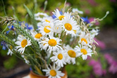 Yaz ortasında Letonya: kutlama Ligo içinde Haziran dekorasyon ev alan çiçek buketi ile