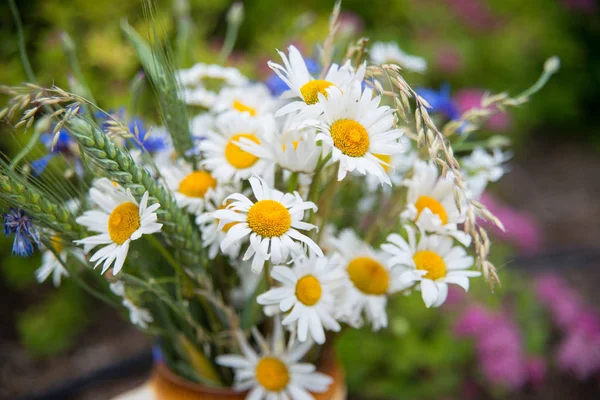 Yaz ortasında Letonya: kutlama Ligo içinde Haziran dekorasyon ev alan çiçek buketi ile