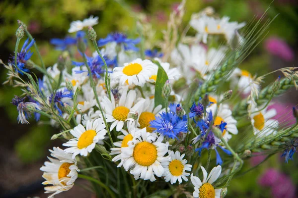 Yaz ortasında Letonya: kutlama Ligo içinde Haziran dekorasyon ev alan çiçek buketi ile