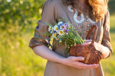 Letonya 'da yaz ortası: Ligo kutlamaları - genç bir kadın çelenk dokuyor ve çiçek topluyor