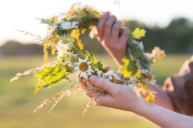 Letonya 'da yaz ortası: Ligo kutlamaları - genç bir kadın çelenk dokuyor ve çiçek topluyor