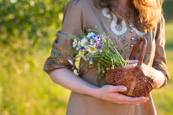 Letonya 'da yaz ortası: Ligo kutlamaları - genç bir kadın çelenk dokuyor ve çiçek topluyor