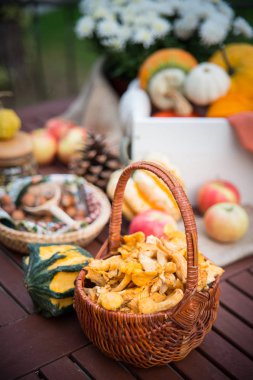 Sonbahar bahçesinde bulunan farklı süslemeler ve kabaklar chanterelles tam sepet