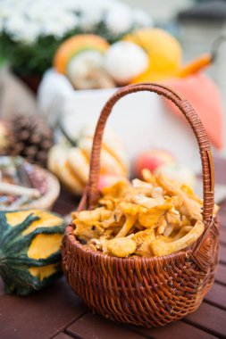 Sonbahar bahçesinde bulunan farklı süslemeler ve kabaklar chanterelles tam sepet