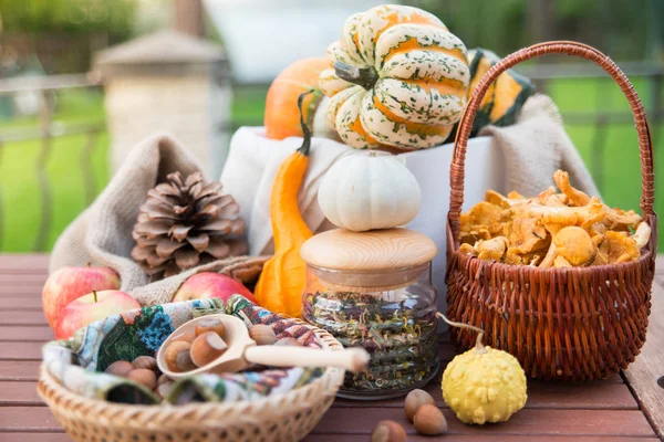 秋の庭の異なる装飾とカボチャでアンズタケのバスケットの中身 — ストック写真