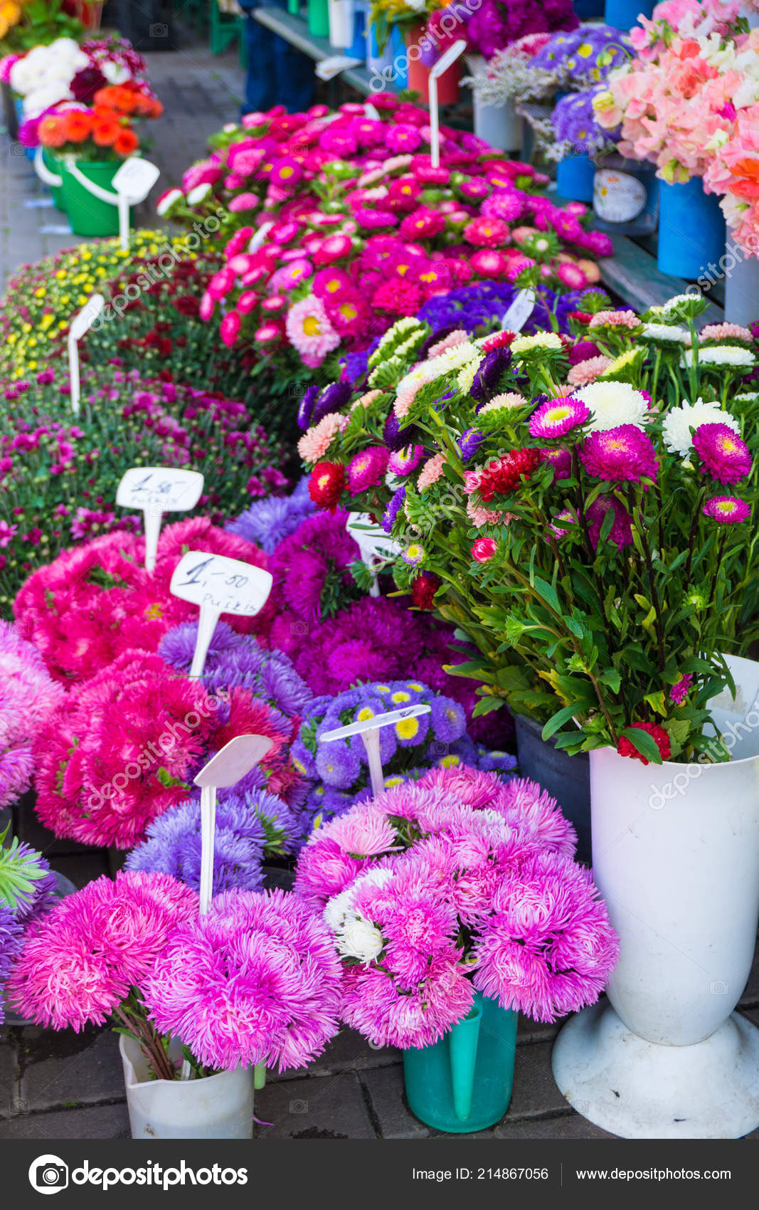 Different Autumn Flowers Sale Central Market Bouquets Prices Stock Photo Image By C Elinque 214867056