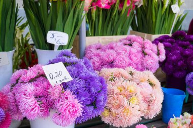 Farklı sonbahar çiçek buketleri fiyatları ile merkezi piyasada satışa