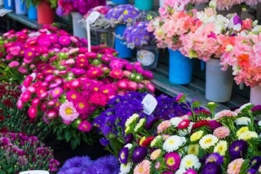 Farklı sonbahar çiçek buketleri fiyatları ile merkezi piyasada satışa