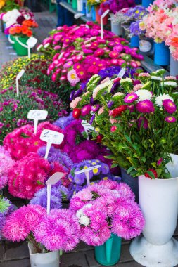 Farklı sonbahar çiçek buketleri fiyatları ile merkezi piyasada satışa