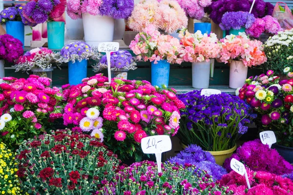 Different autumn flowers on sale on central market in bouquets with prices