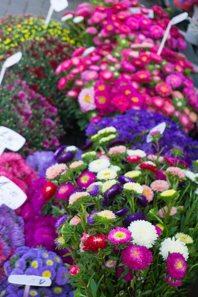 Diversi Fiori Autunnali Vendita Sul Mercato Centrale Mazzi Con Prezzi — Foto Stock