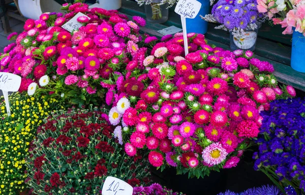 Different autumn flowers on sale on central market in bouquets with prices