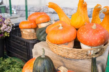 Eylül ayında piyasada farklı taze ve renkli sebze