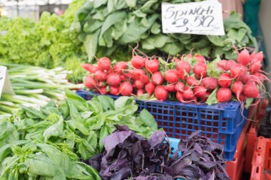 Eylül ayında piyasada farklı taze ve renkli sebze