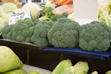 Eylül ayında piyasada farklı taze ve renkli sebze