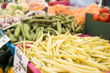 Eylül ayında piyasada farklı taze ve renkli sebze